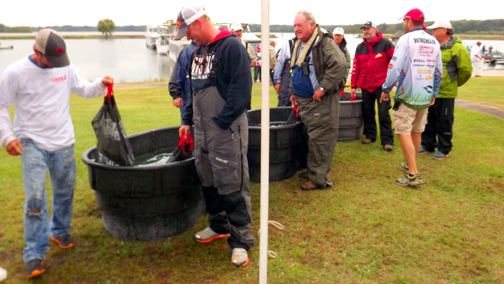 Saturday weigh-in line in the rain.