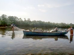 FishingWire pic2