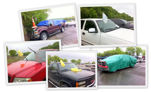 Safety Harbor Buzzards