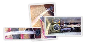 Test the bilge pump in your boat about once a week. Make sure the pump will work when you need it. SFN photo