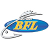 walmart_BFL_Logo-Thumb