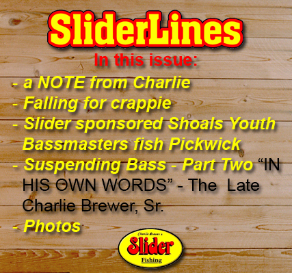 issue-article-list-panel