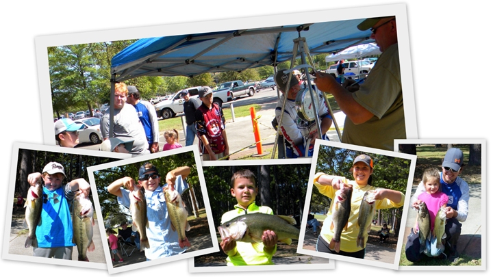 SYBM Pickwick and picnic