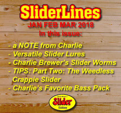 Issue Article List Panel
