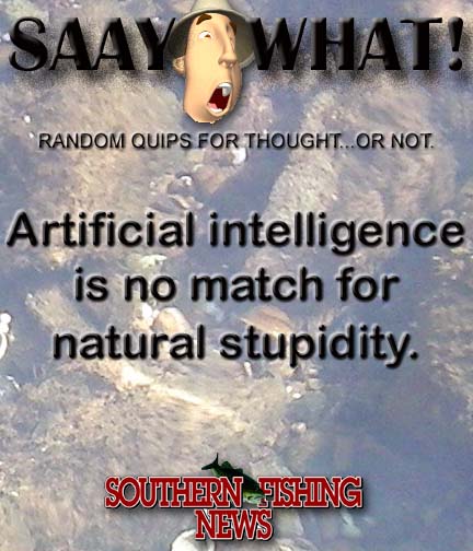 saaywhat Panel 4 copy