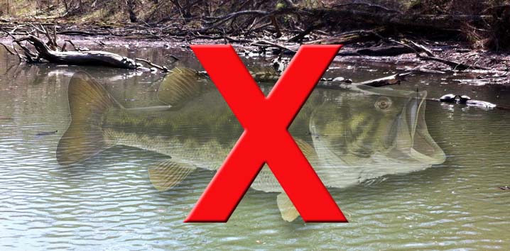 2023 Alabama Fish Consumption Advisories Are Published