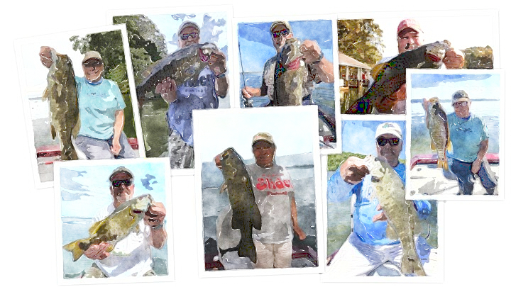 smallmouth collage