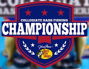 Coll champ logo