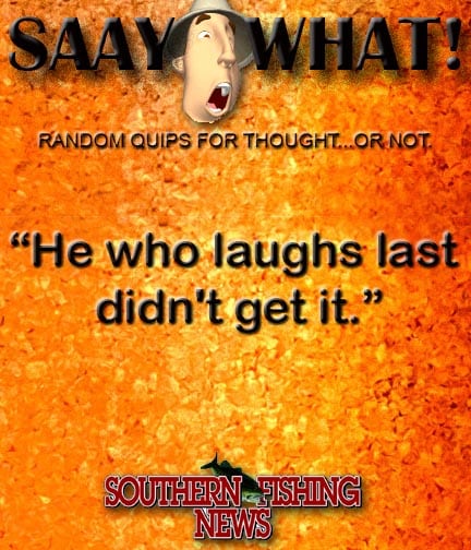 saaywhat Panel 8 8 2025