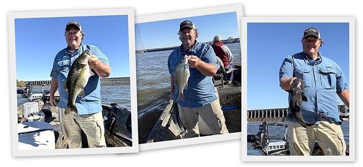 Brian Barton collage