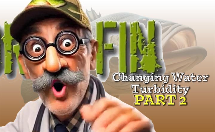 Dr Fin PART 2